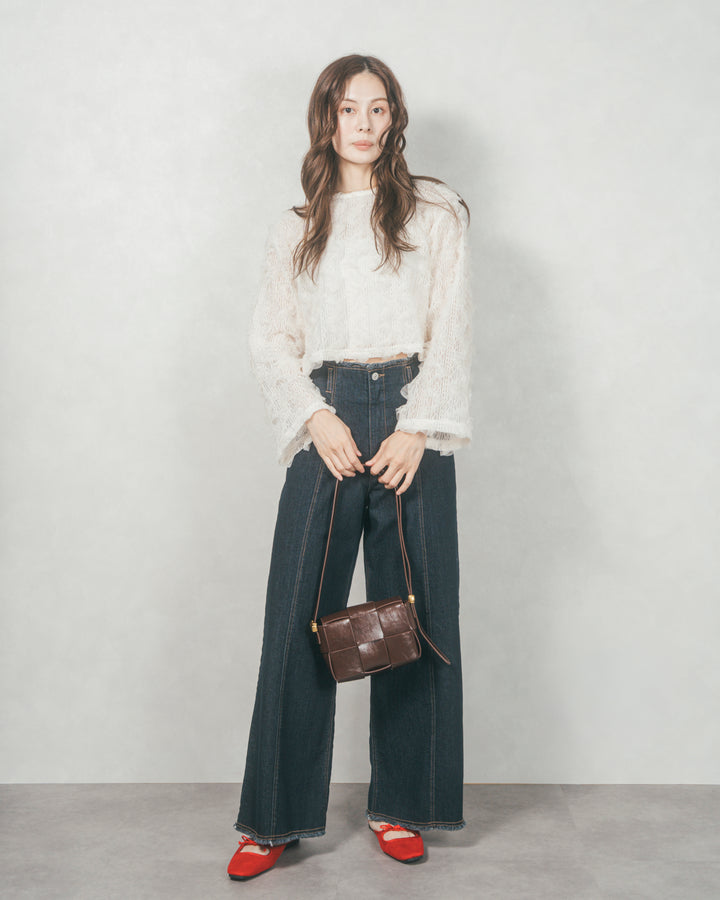 チュールメッシュクロップドトップス (IVORY)