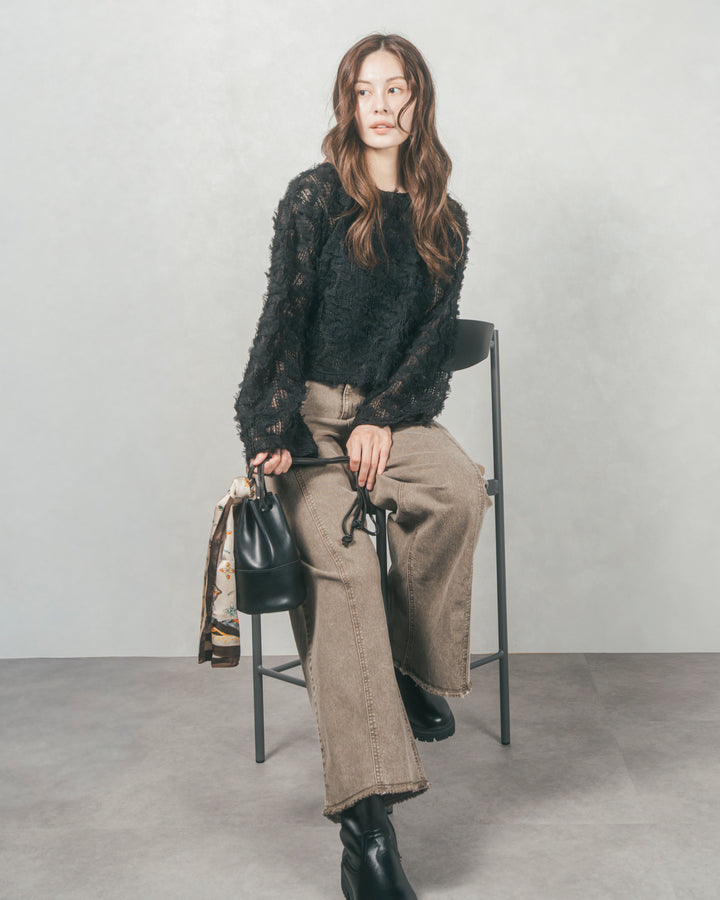 チュールメッシュクロップドトップス (BLACK)