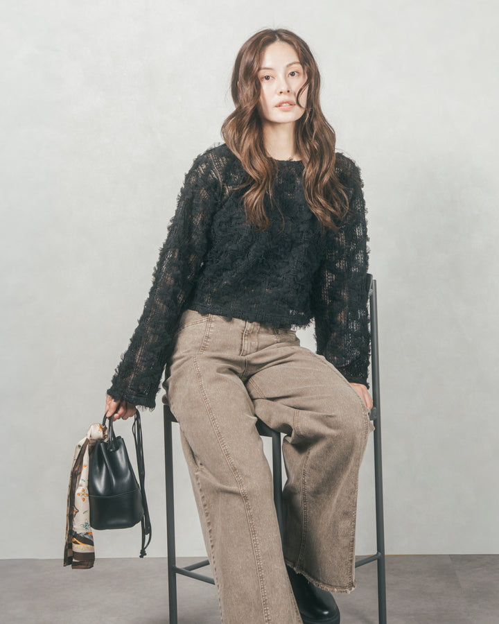 チュールメッシュクロップドトップス (BLACK)