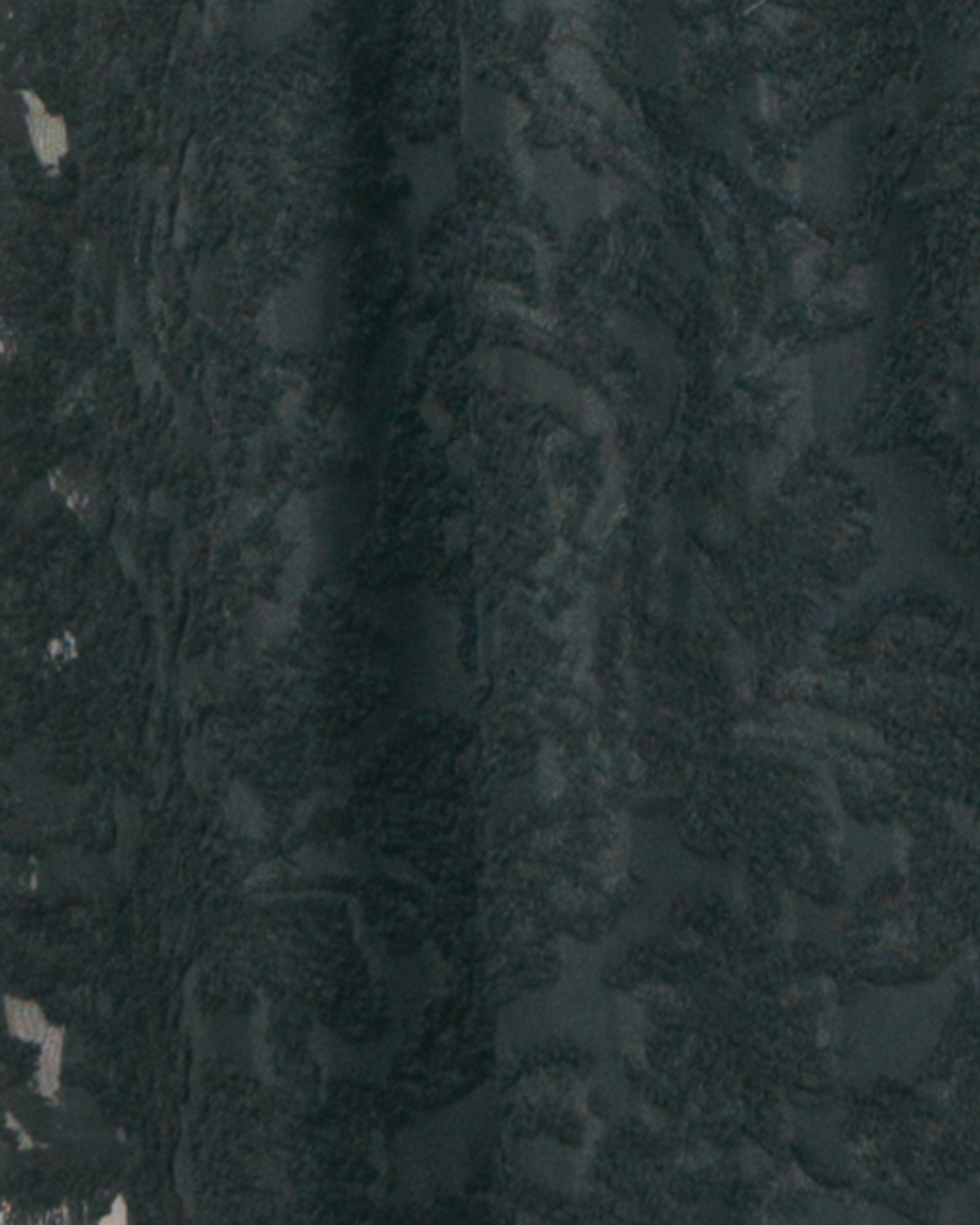 ［SET］シアージャガードtunicキャミソール+プリーツNarrowストレートパンツ（2SET）