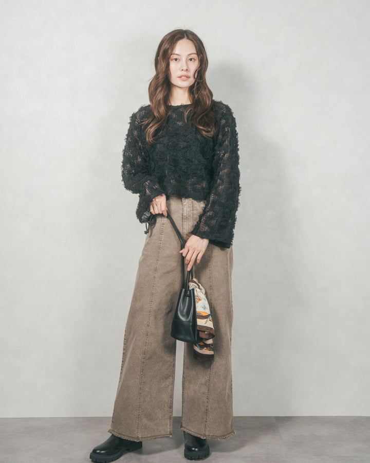 チュールメッシュクロップドトップス (BLACK)