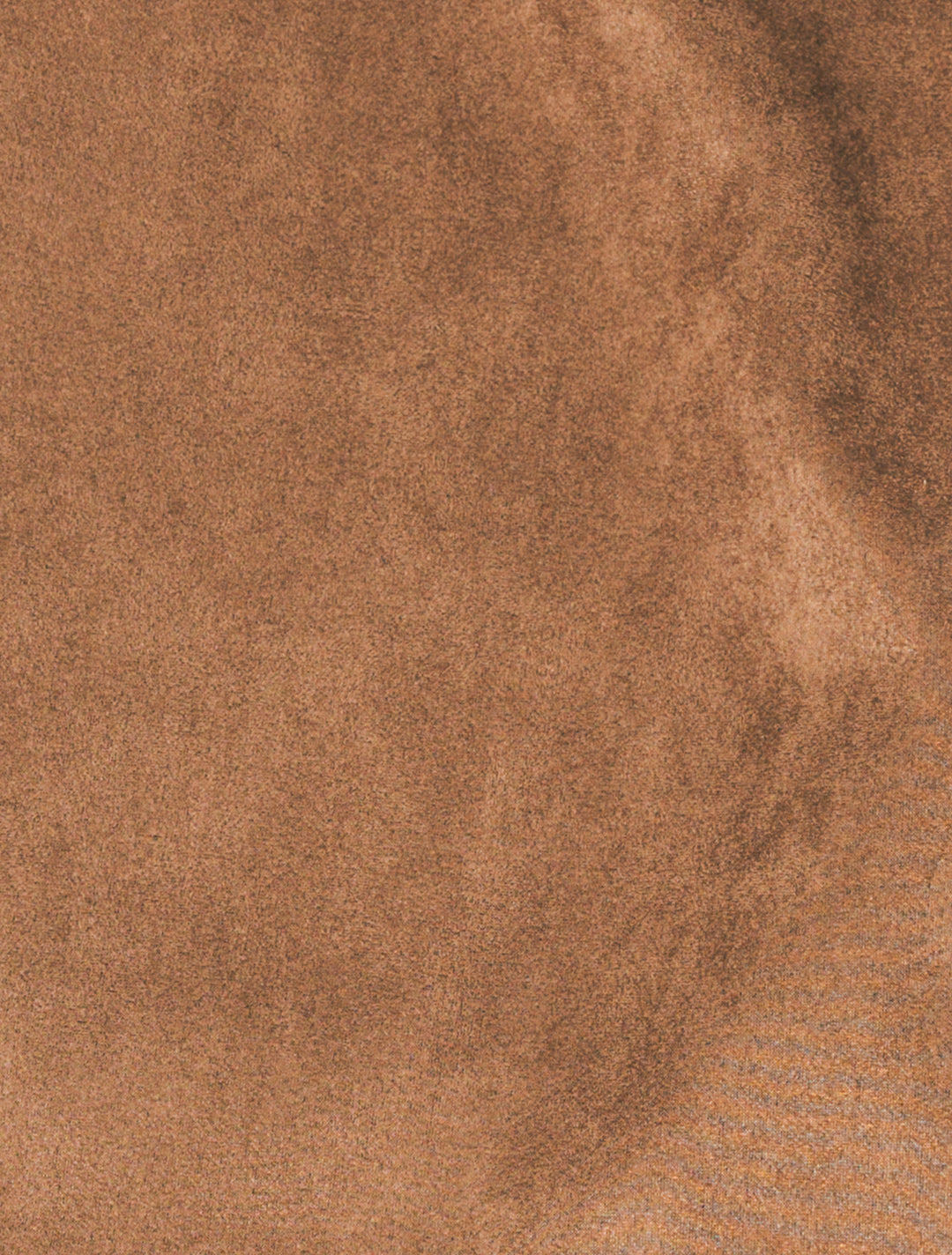 スウェードライクラップスカート (BROWN)